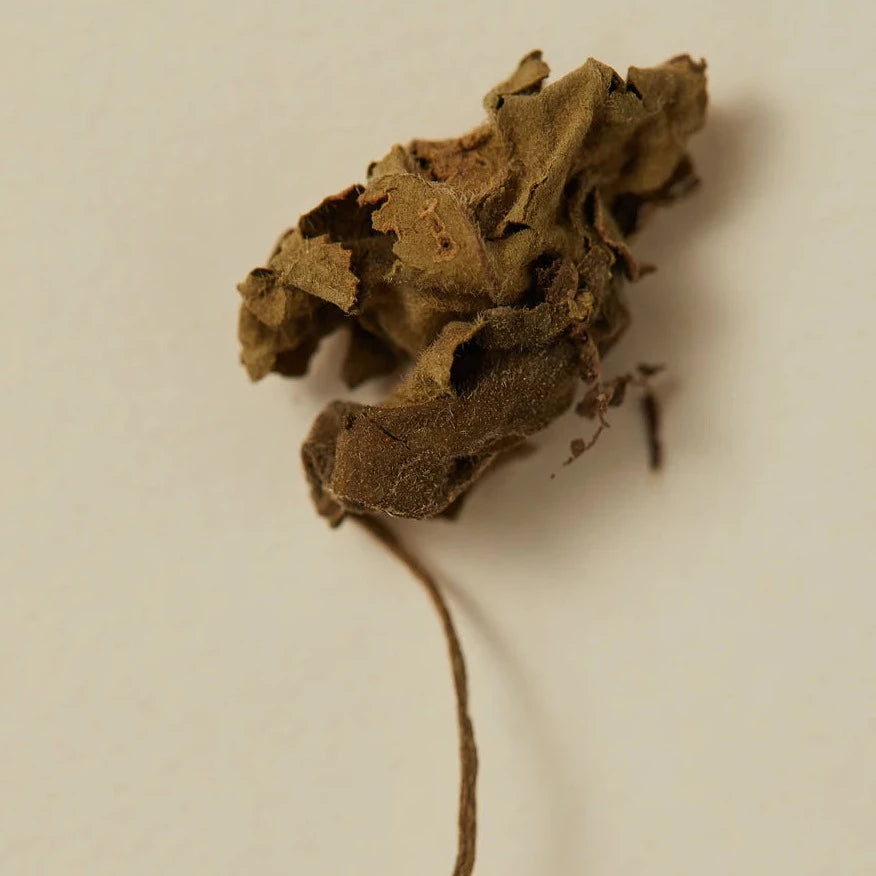 Patchouli Incense