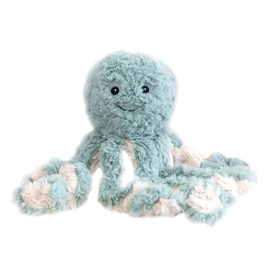Ollie - The Weighted Octopus